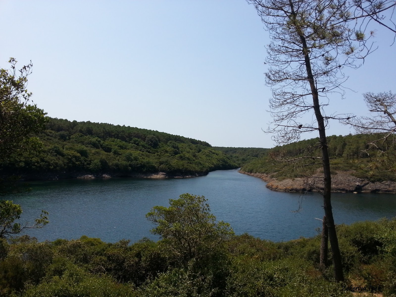 Hamsilos Koyu